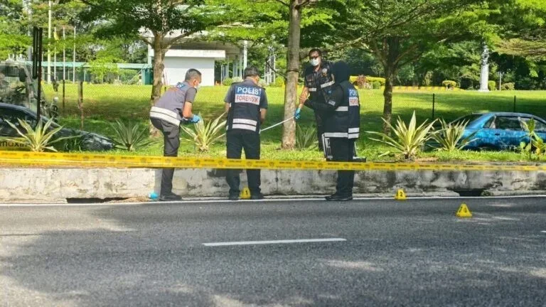 597108520 1306896261466287 1414552287145025747 n 768x432 1