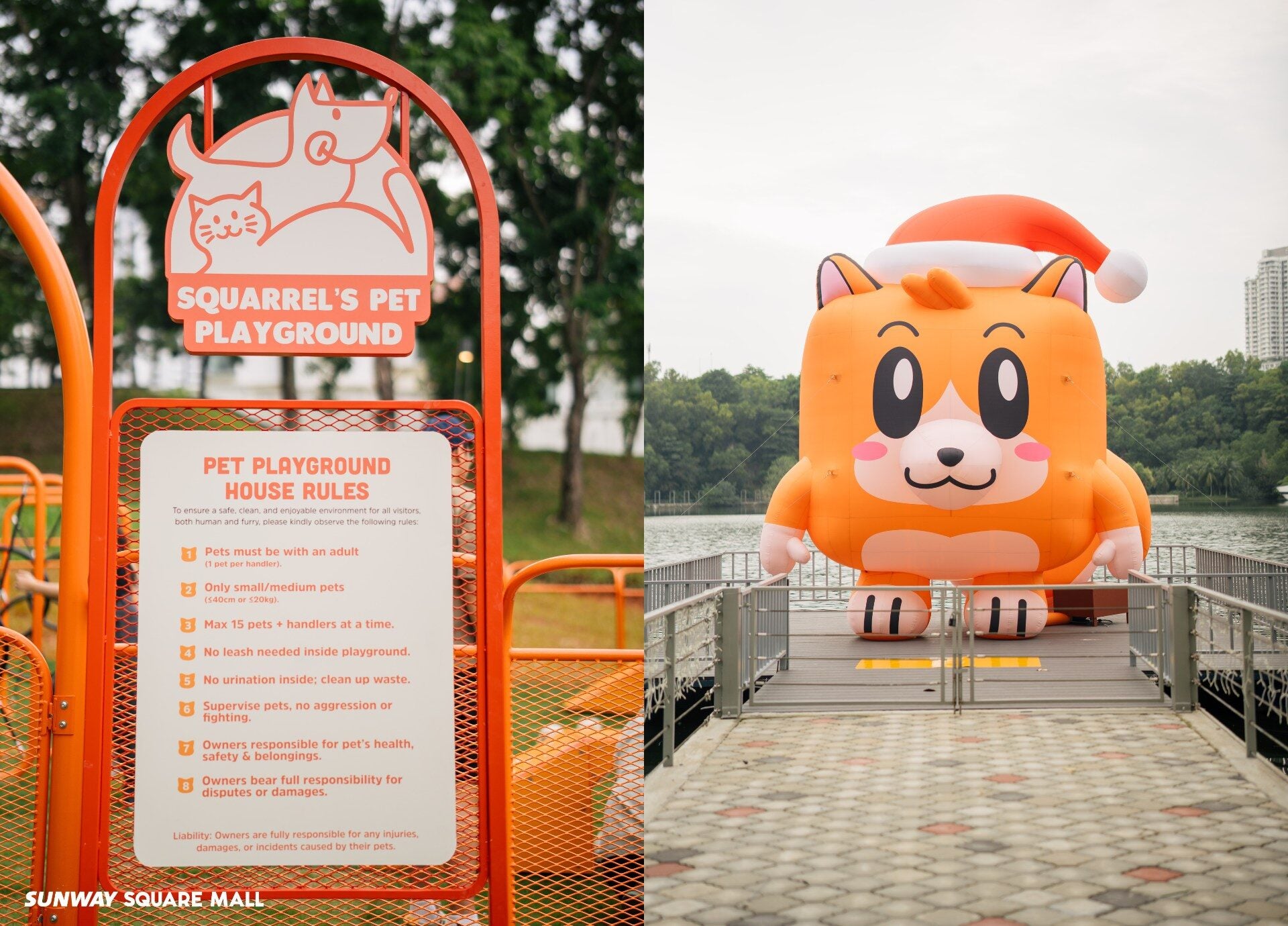 597239162 122249019404158187 841552652473137627 n