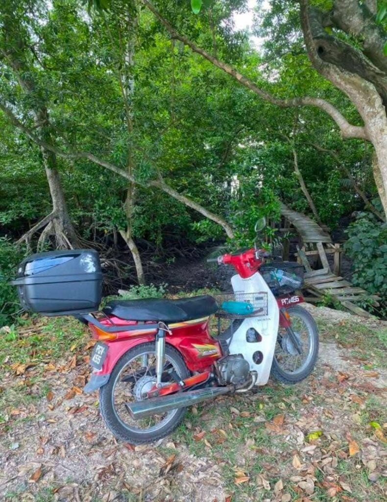 604673109 122116541487005458 2634314569959693025 n