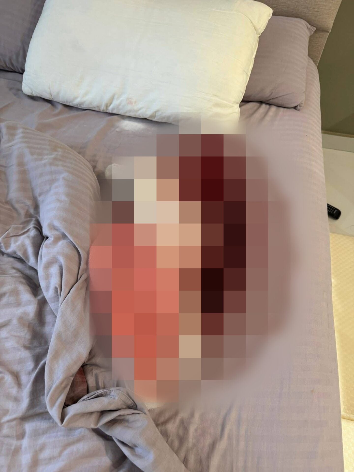 605280543 3255898634591958 9107131351344630808 n