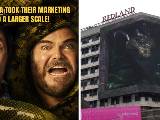 ANACONDA FEATURE 1 1