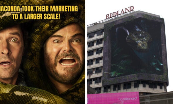 ANACONDA FEATURE 1 1