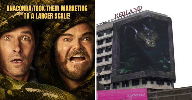 ANACONDA FEATURE 1 1