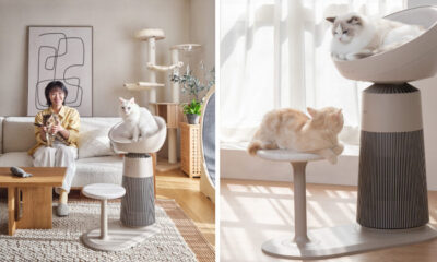 Lgaerocattower Header