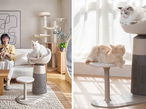 Lgaerocattower Header