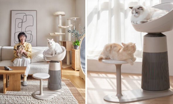 Lgaerocattower Header