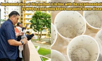 My Post 1 2025 12 09T145720.067