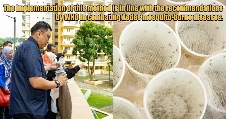 My Post 1 2025 12 09T145720.067