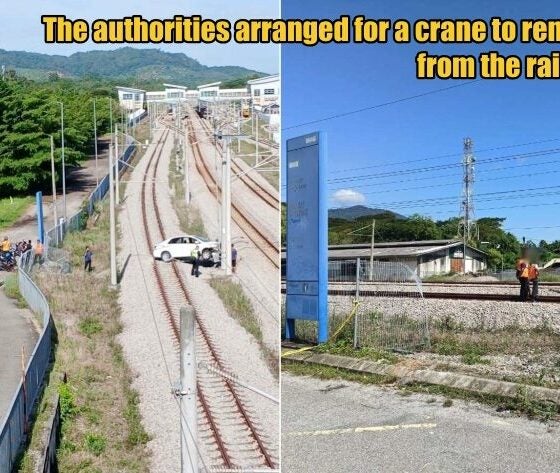 My Post 1 2025 12 22T153146.756