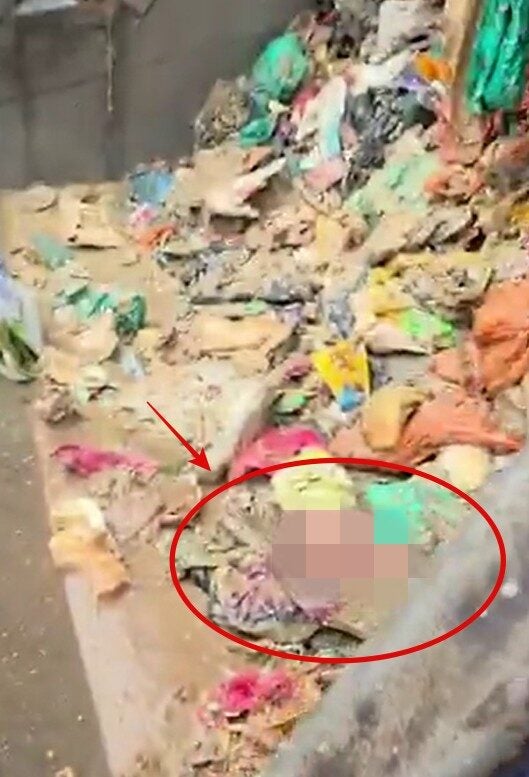 Screenshot 2025 12 12 100645