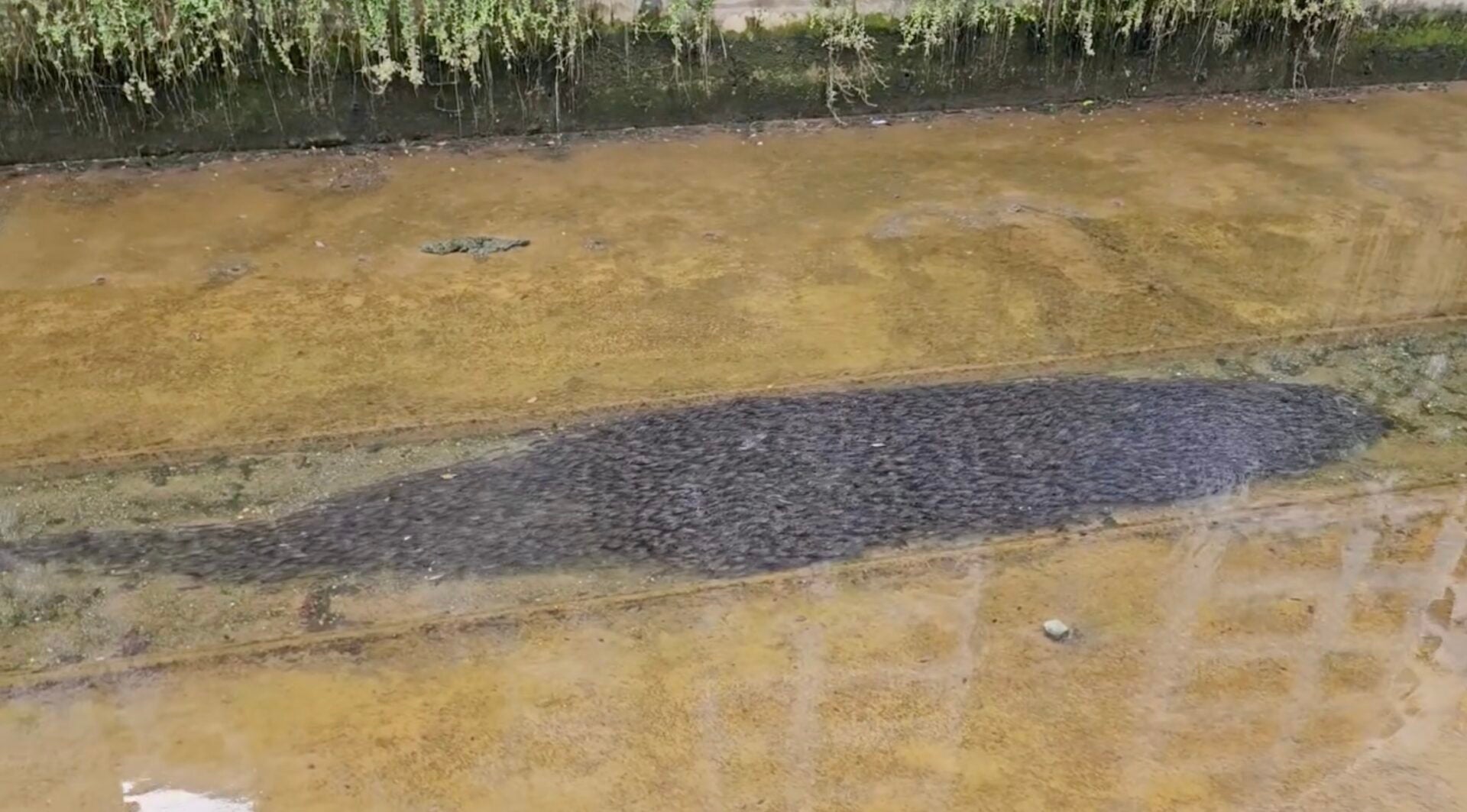 Screenshot 2025 12 14 at 9.06.27 PM