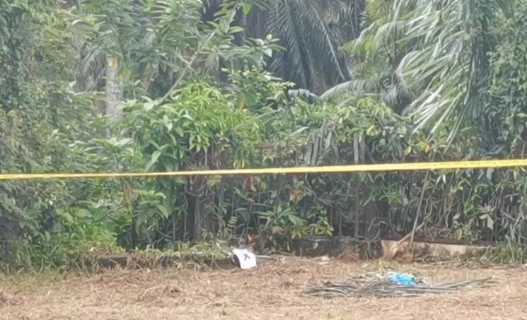 Screenshot 2025 12 19 100935