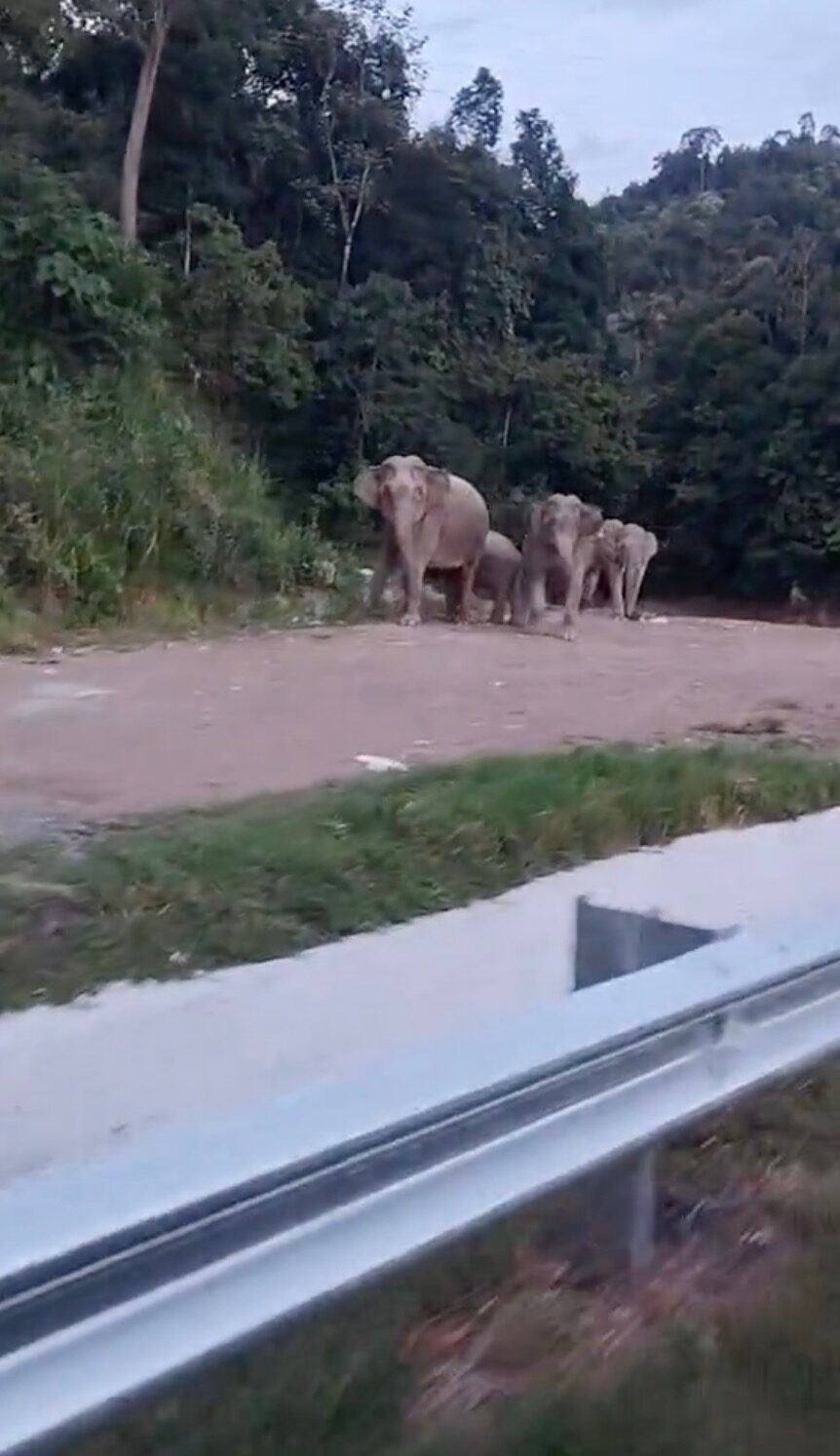 Screenshot 2025 12 21 At 5.28.57 Am