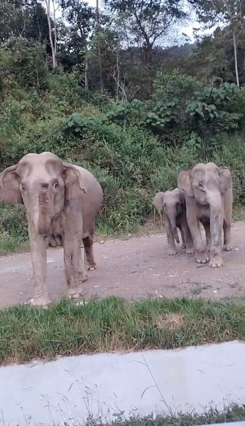 Screenshot 2025 12 21 At 5.29.14 Am