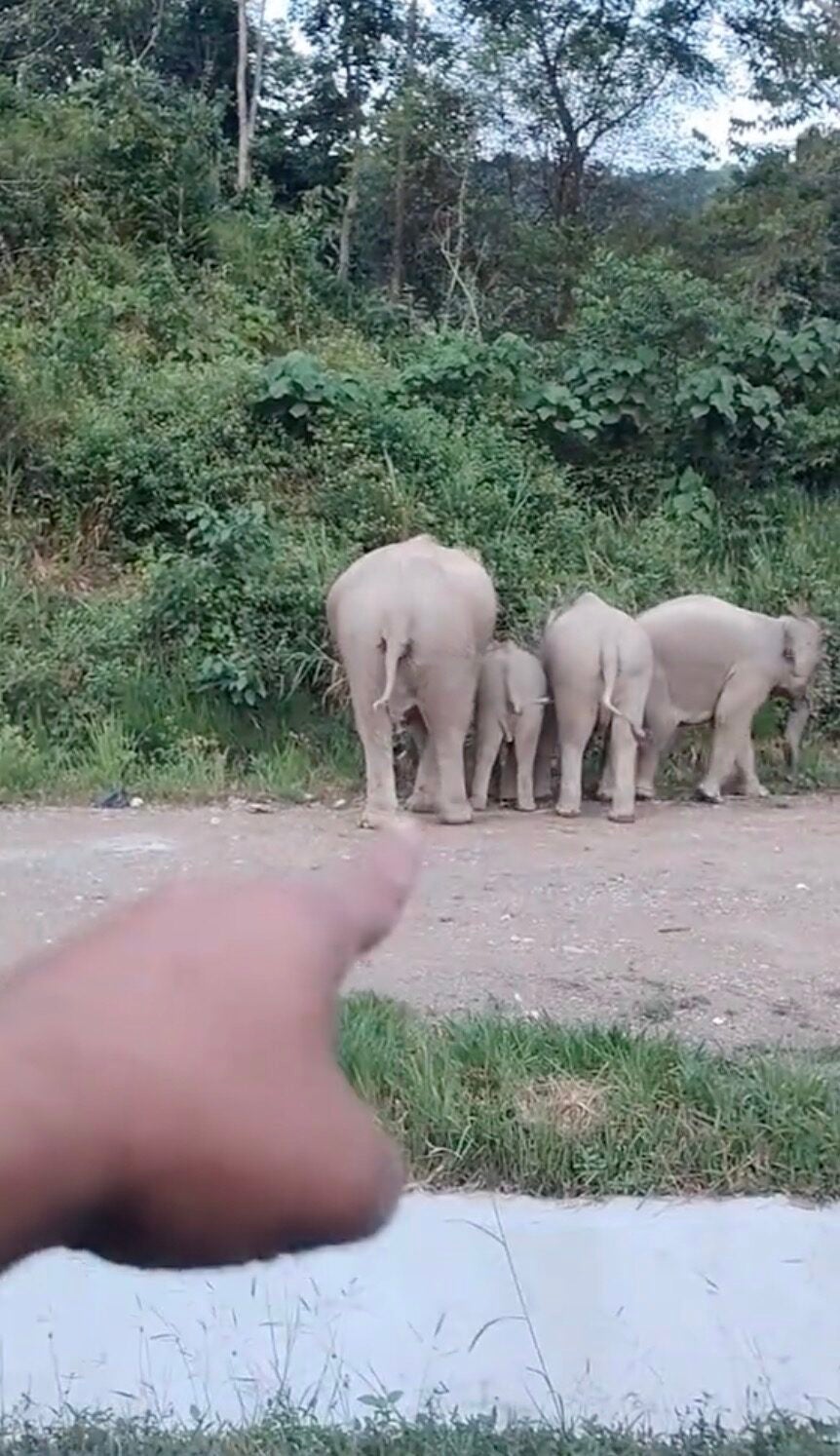 Screenshot 2025 12 21 At 5.29.40 Am