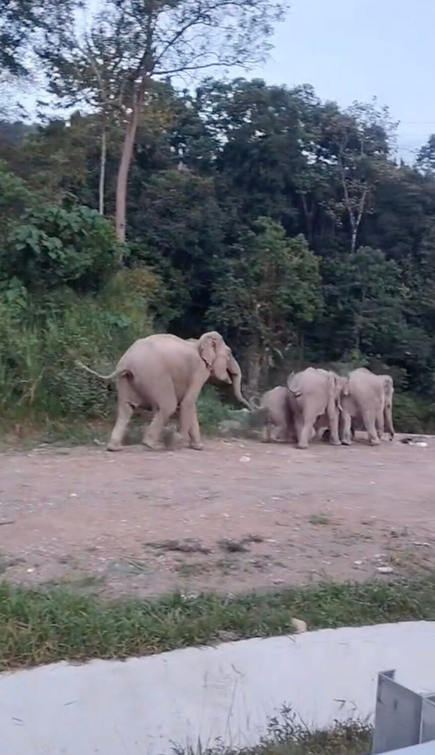 Screenshot 2025 12 21 At 5.29.49 Am