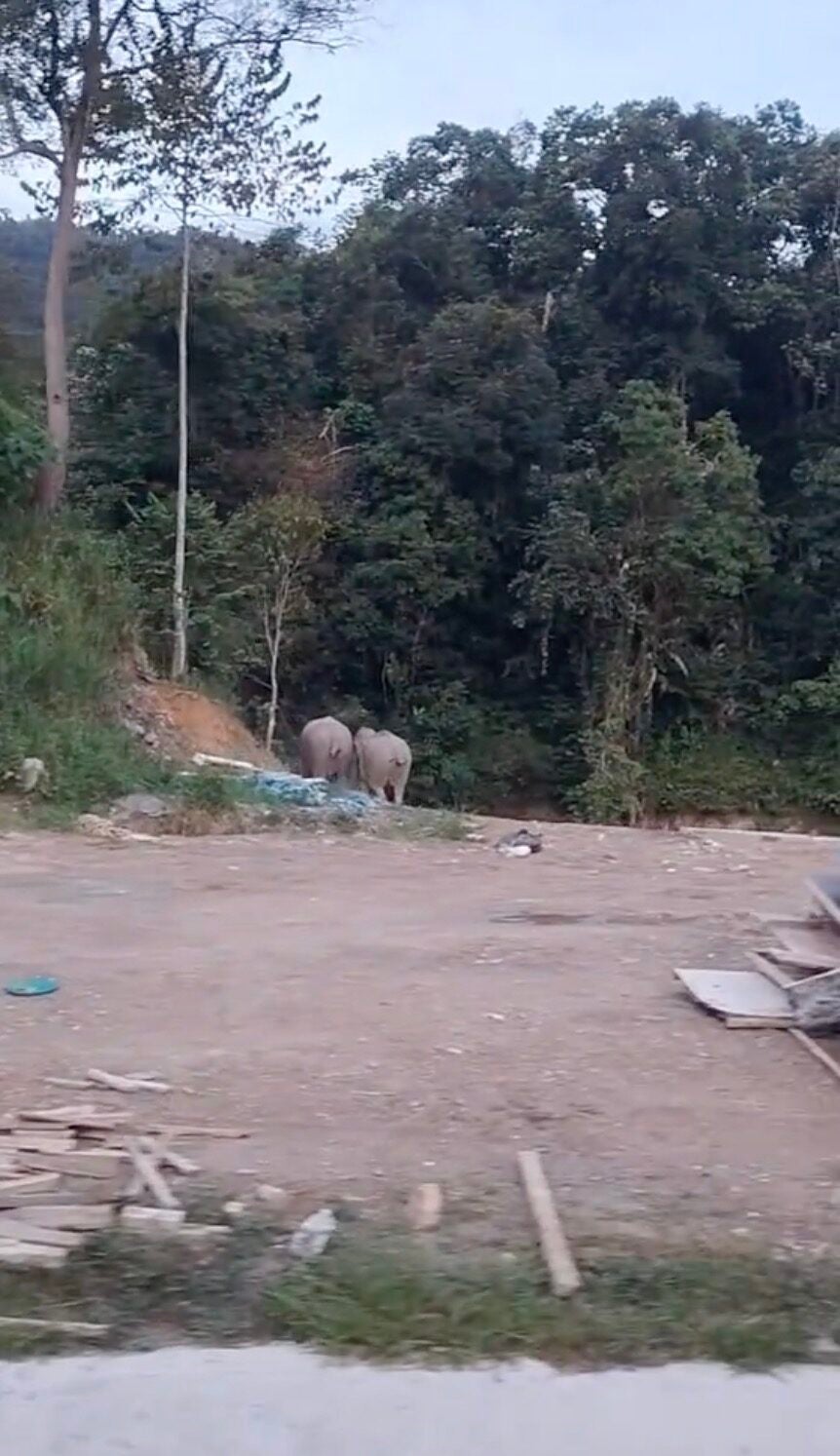 Screenshot 2025 12 21 At 5.29.58 Am