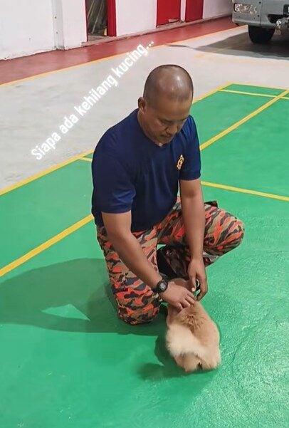 Screenshot 2025 12 26 123915