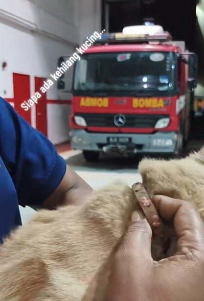 Screenshot 2025 12 26 124209