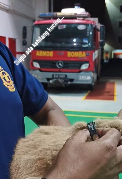 Screenshot 2025 12 26 124232