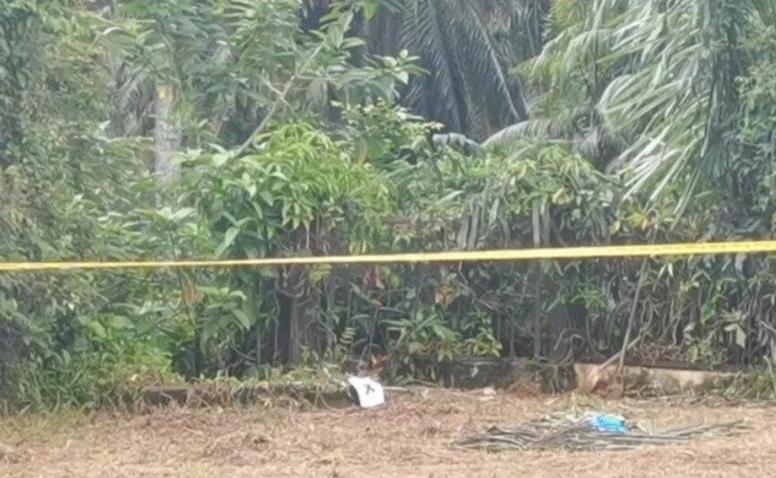 Screenshot 2025 12 26 141316