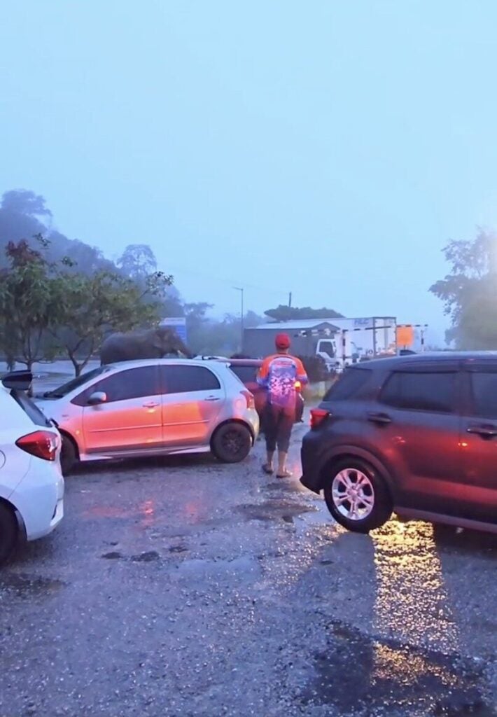 Screenshot 2025 12 29 at 10.36.19 AM