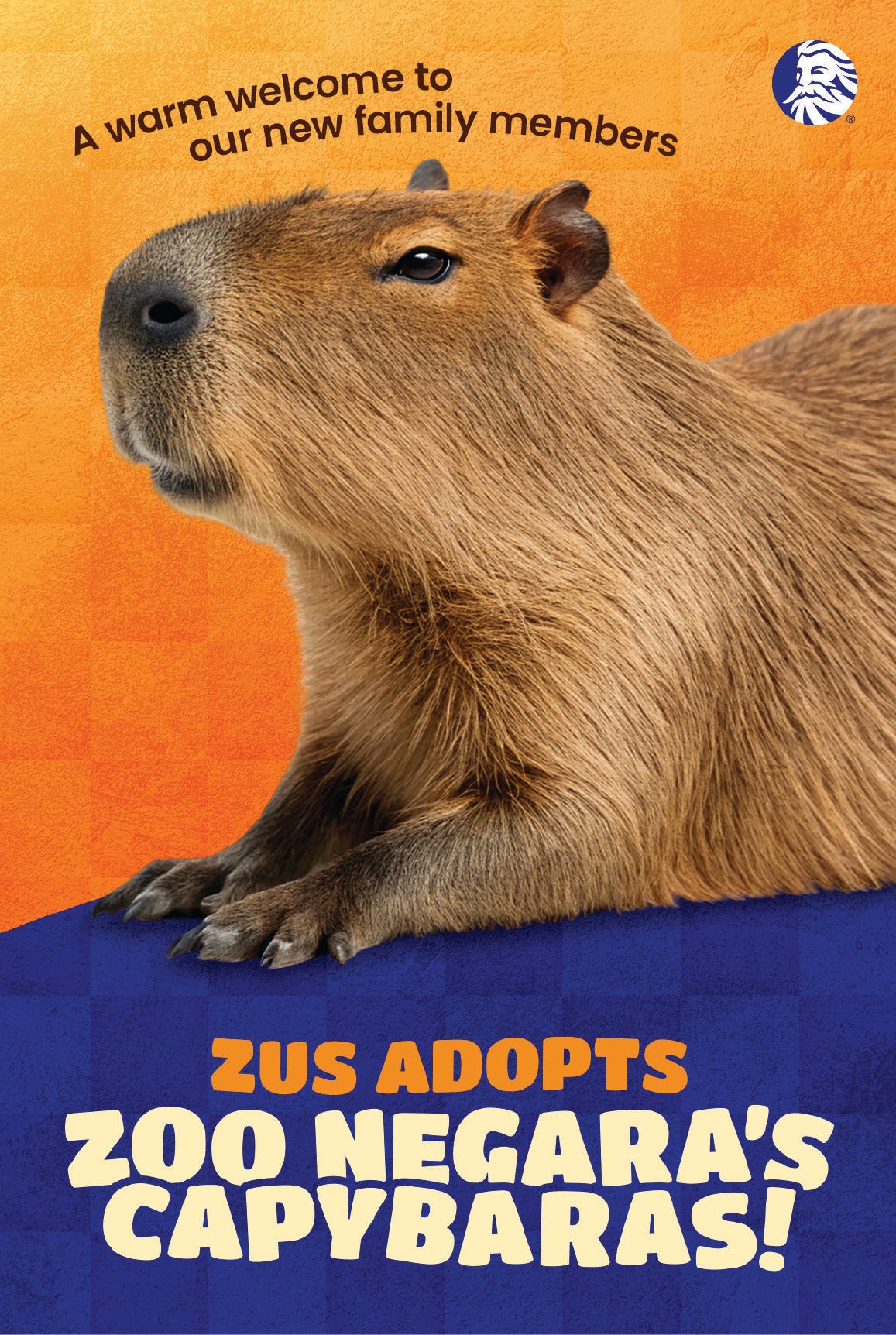 ZUS COFFEE Adopts Zoo Negara Capybaras Poster