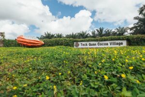 teck guan cocoa village 1
