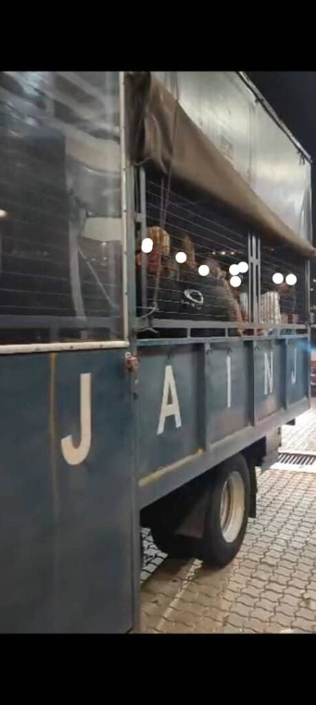 602010594 122145141248894597 1175459326816494843 n