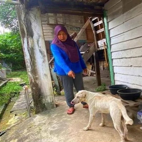 619815097 1329477525871884 2537999030223624025 N