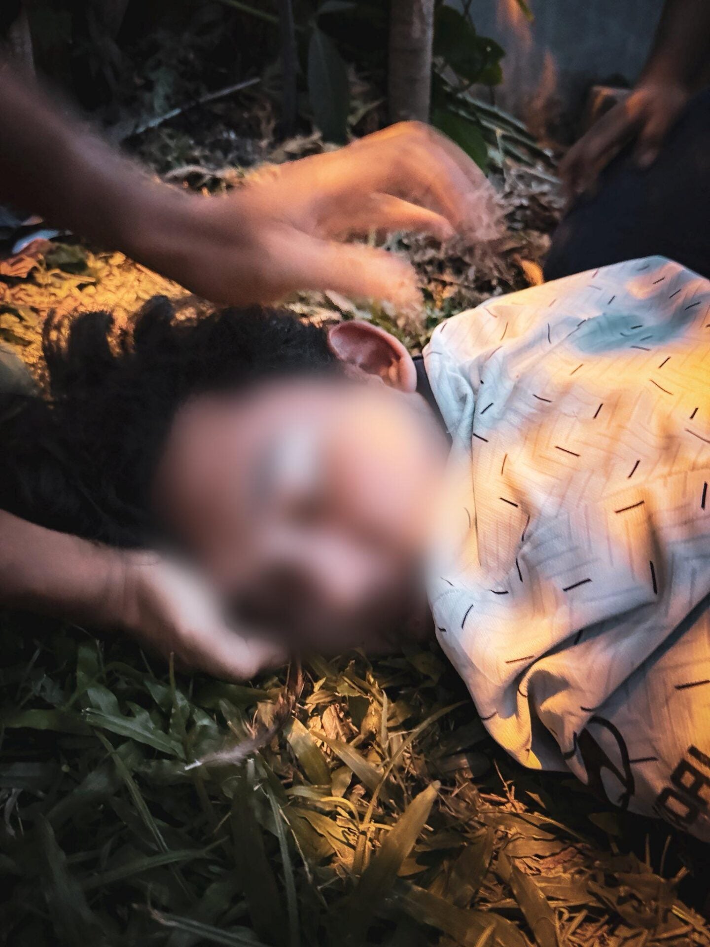 622911603 10236931188131899 7873997003450561117 N