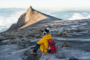 Adobestock 357156587