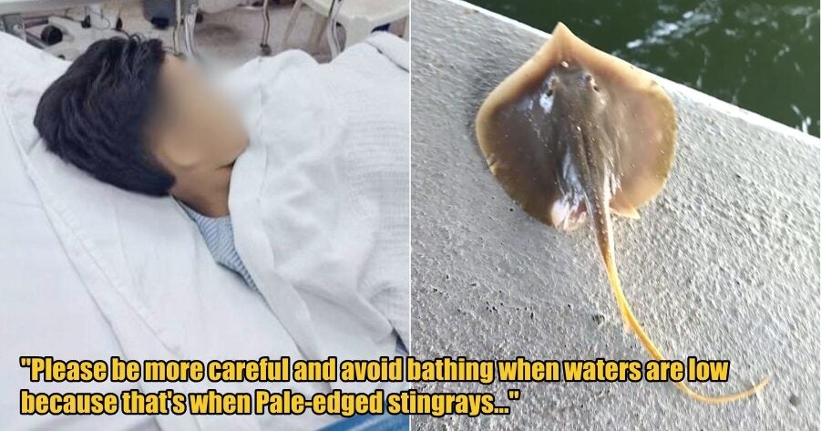 My Post 1 2026 01 05T154017.343