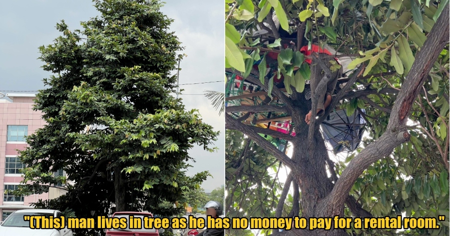 My Post 1 2026 01 12T112938.728