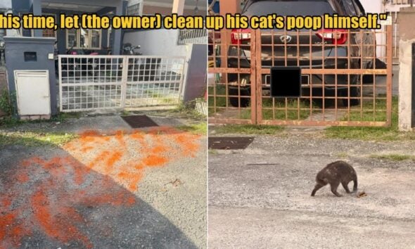 My Post 1 2026 01 30T112436.400