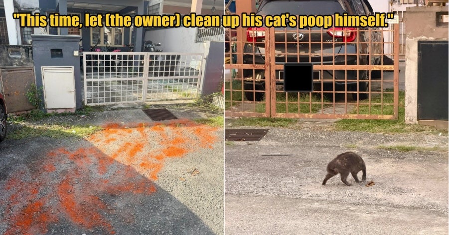 My Post 1 2026 01 30T112436.400