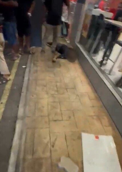 Screenshot 2026 01 05 110622