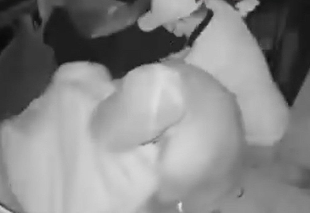 Screenshot 2026 01 16 135226