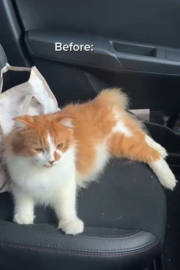 Screenshot 2026 01 21 135528