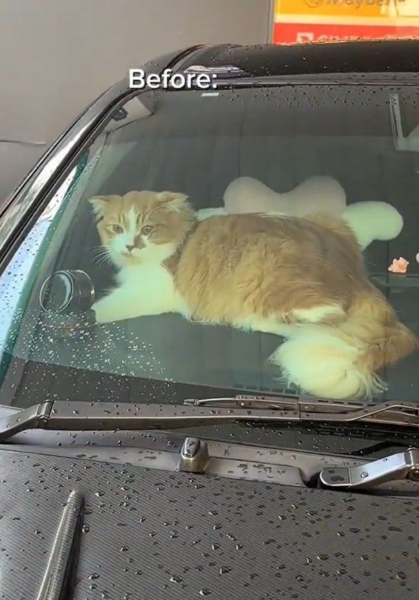 Screenshot 2026 01 21 135556