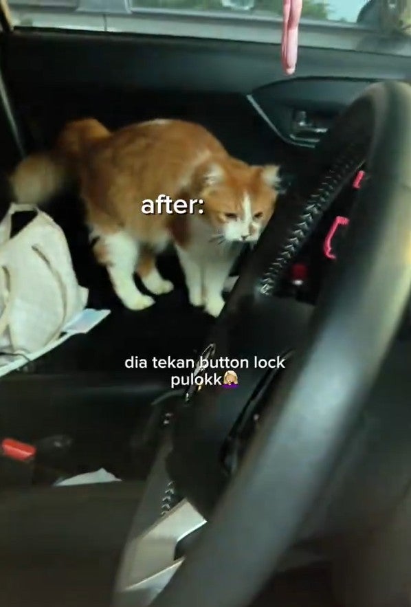 Screenshot 2026 01 21 135730