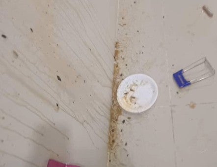 Screenshot 2026 01 23 134448