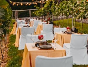 Screenshot 2026 01 26 074233