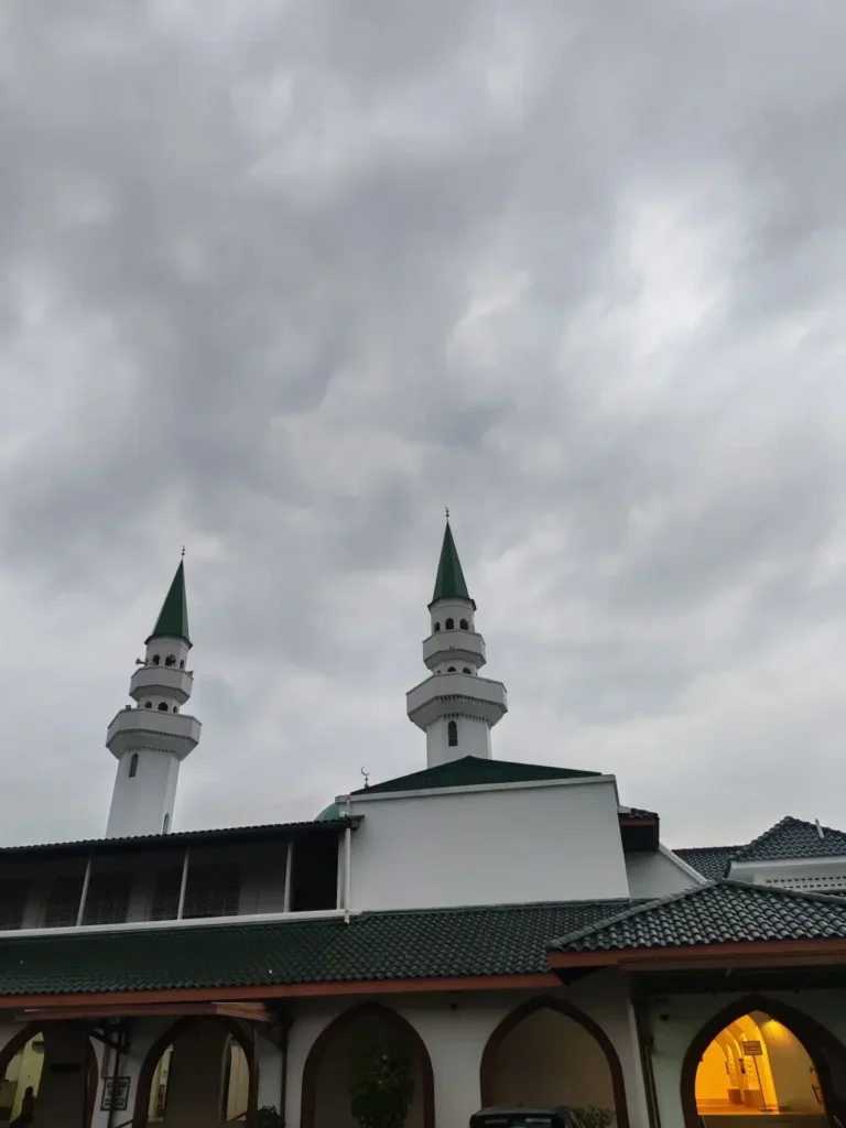 619601883 17854672059609709 1608376278631846162 N