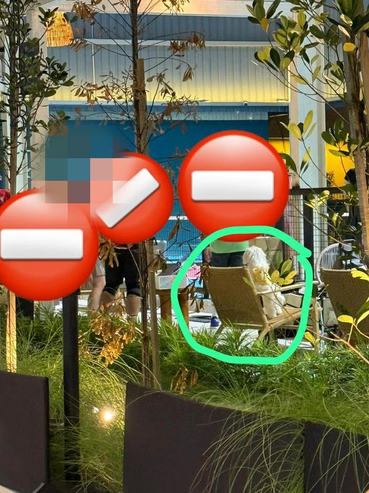 623937600 10162865837722701 1236411846605318857 N