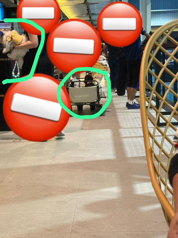 625318684 10162865838217701 6470591503820275814 N