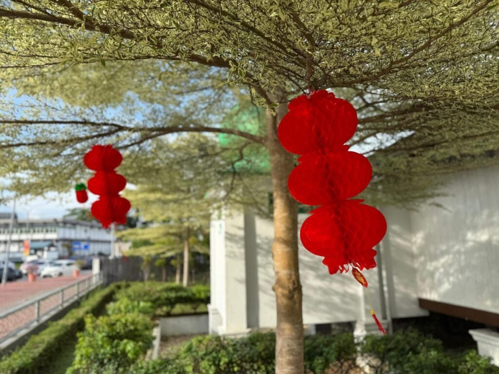 628313378 1475017887517923 5416734541485336470 N