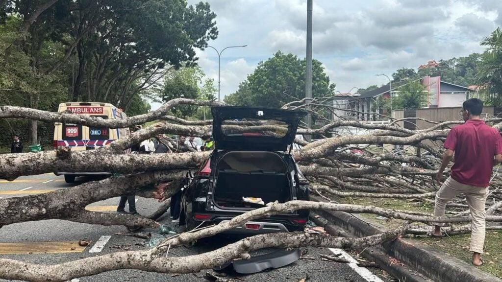 635073297 4343086289343347 3977251625969515631 N