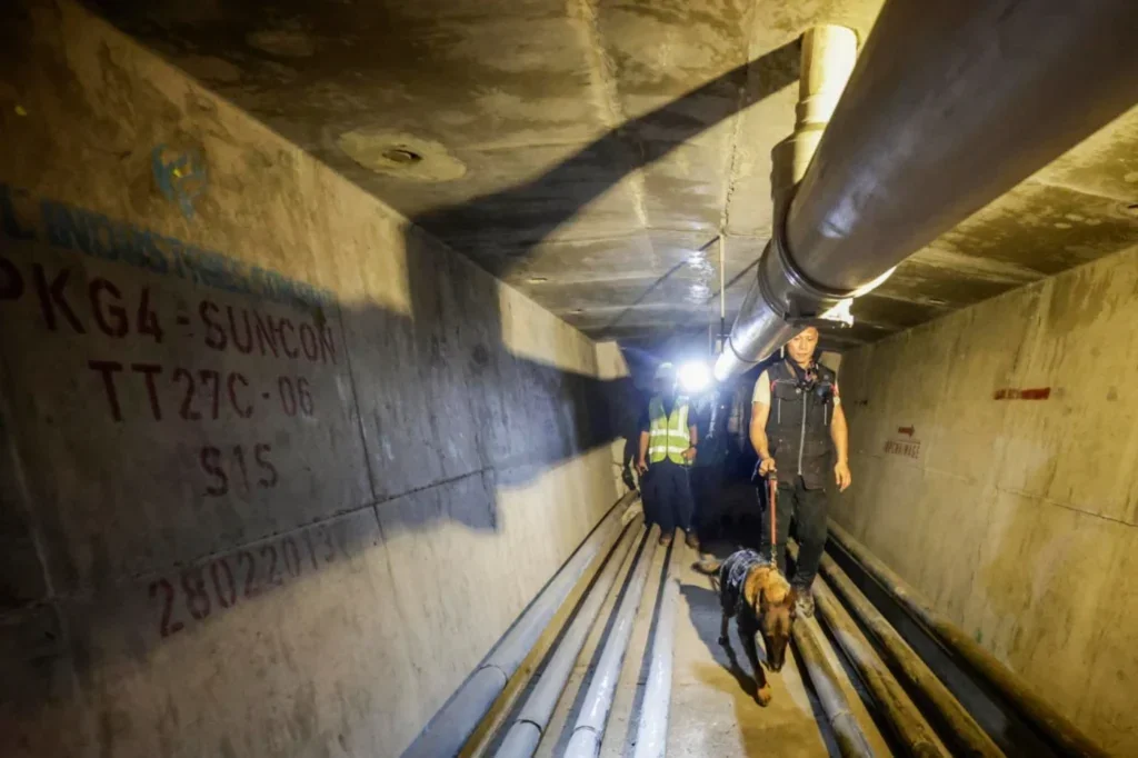 C06Dfb8098A8Ab4861A05F76F3C97Dc7 Low 2