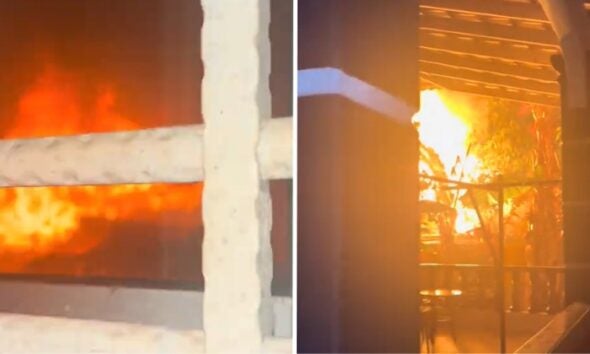 Dd Ft 2026 02 09T144556.204